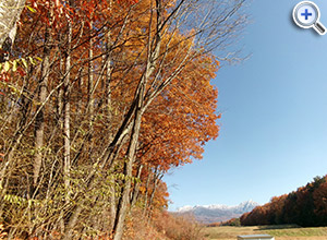 ����s �y�n803