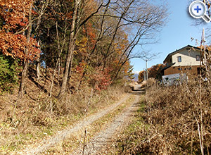 ����s �y�n805