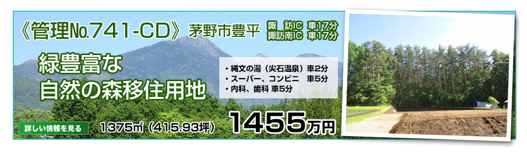 おすすめ情報